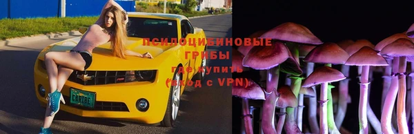 амф Балахна