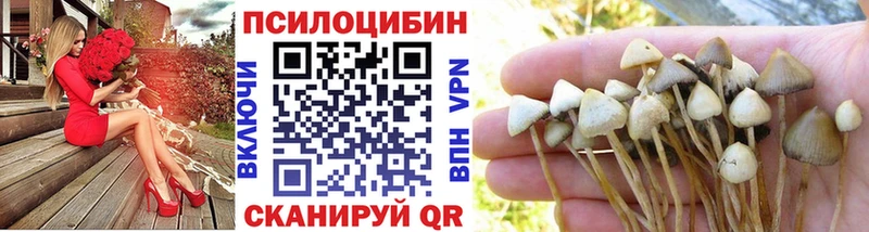 МЕГА ссылки  сколько стоит  Кунгур  Псилоцибиновые грибы Magic Shrooms 